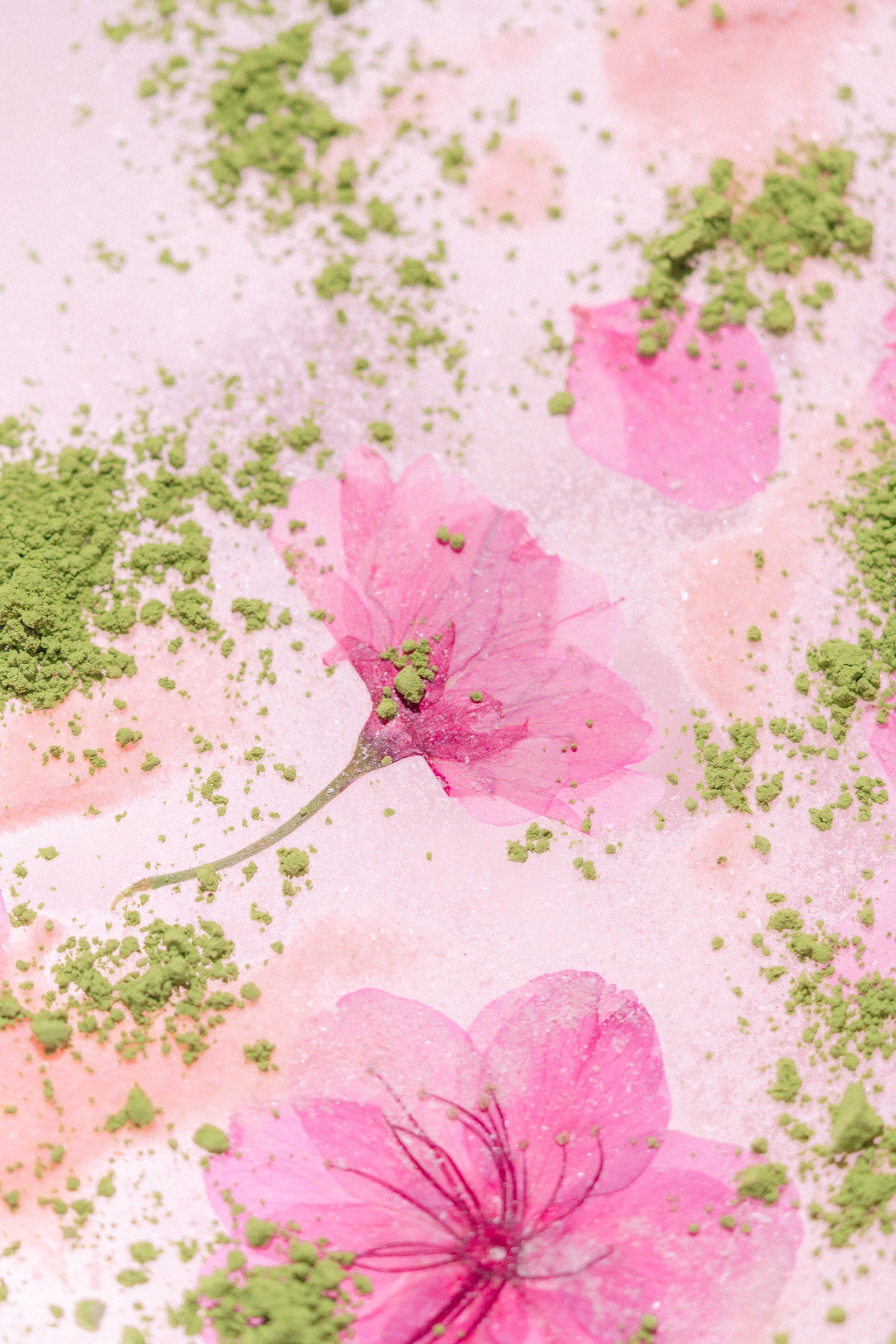 Cherry Blossom Matcha