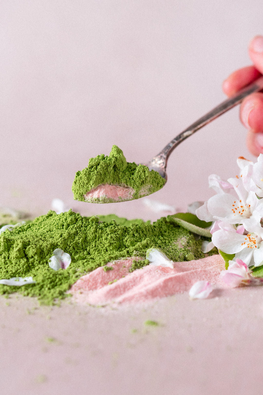 Cherry Blossom Matcha